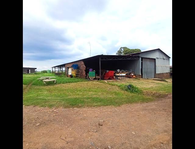 34HA FARM FOR SALE IN SHERMAN PARK